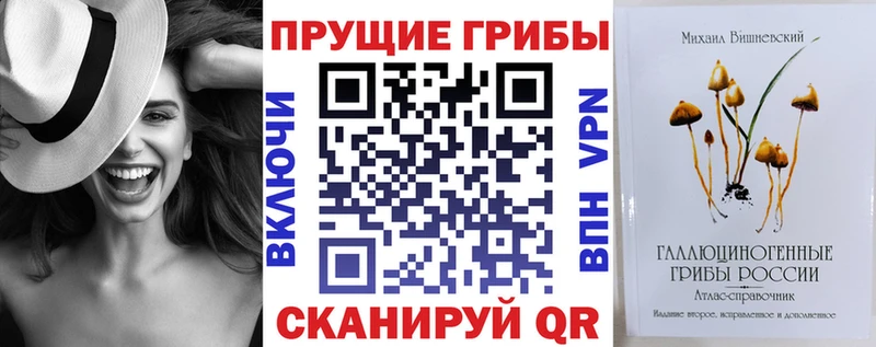 mega tor  Сурск  Псилоцибиновые грибы Psilocybine cubensis 