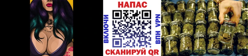 KRAKEN вход  Сурск  Бошки марихуана индика 